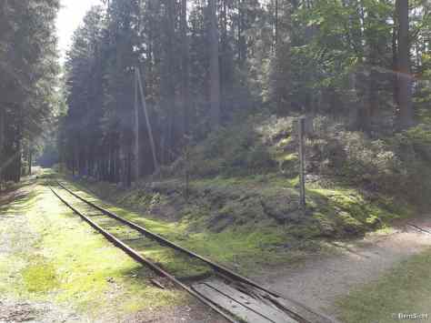 IMG_3022 Eisenbahn meets Eisenwurzenweg 20180906_120328_prot_1600x1200_250KB