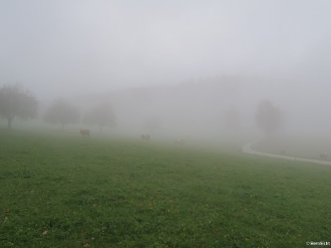 dichter Nebel hängt über der Streusiedlung Großenegg